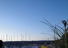 DSC03633